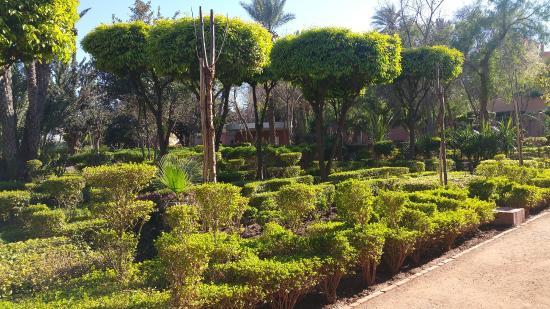 Cyber Park Arsat Moulay Abdeslam
